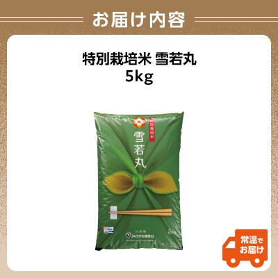 特別栽培米 雪若丸 5kg【山形県産 特別栽培米】 001-067