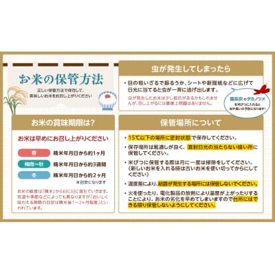 特別栽培米 雪若丸 10kg 【山形県産】 001-095