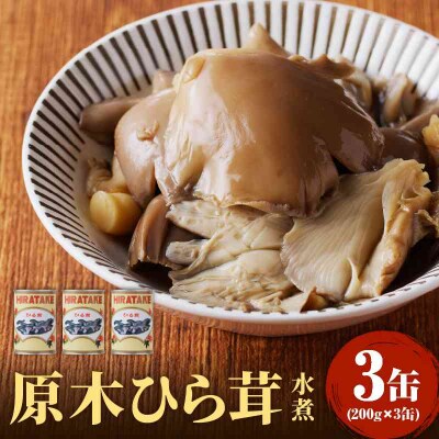 大江町柳川産 原木ひら茸水煮200g×3缶(固形量) 014-014