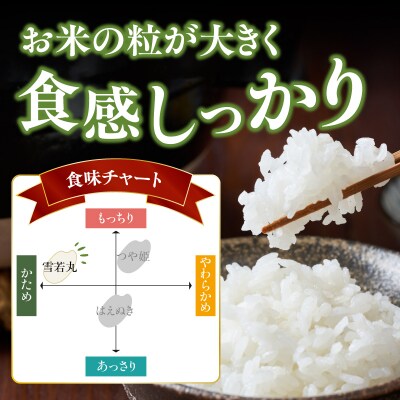  《3ヶ月定期便》特別栽培米 雪若丸 5kg×3ヶ月(計15kg)【山形県産】 001-T10