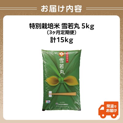  《3ヶ月定期便》特別栽培米 雪若丸 5kg×3ヶ月(計15kg)【山形県産】 001-T10