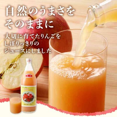 大江の恵 昔なつかしのすっきり紅玉6本ギフト 003-025