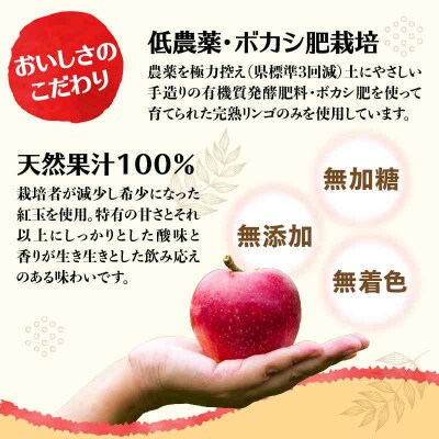 大江の恵 昔なつかしのすっきり紅玉6本ギフト 003-025