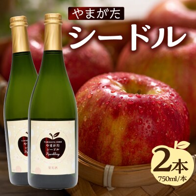 やまがたシードル750ml×2本 061-002
