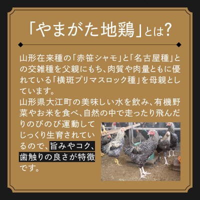 あてらZAWAカレー(やまがた地鶏手羽元1本入り) 4袋 017-001