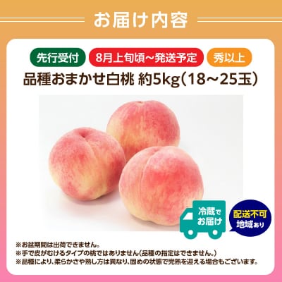 《先行受付》品種おまかせ 白桃 約5kg【丸秀以上】【2026年8月上旬頃～発送予定】001-101