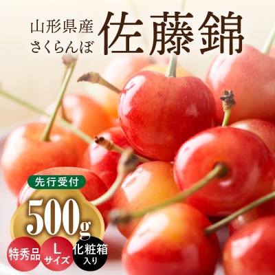 ≪先行受付≫さくらんぼ 佐藤錦 500g 特秀品 L 化粧箱入【6月中旬頃発送予定】 001-071