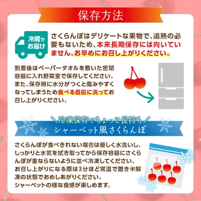 ≪先行受付≫さくらんぼ 佐藤錦 500g 特秀品 L 化粧箱入【6月中旬頃発送予定】 001-071