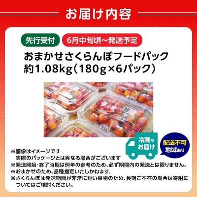 《先行受付》おまかせさくらんぼ フードパック 約1.08kg【6月中旬～発送予定】 001-088