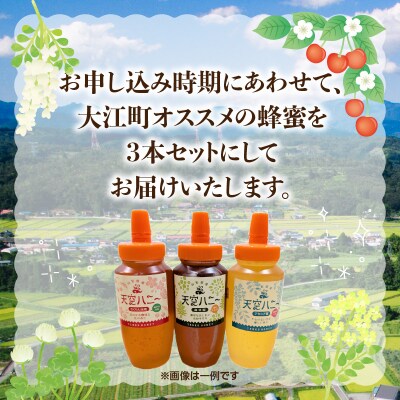 天空ハニー蜂蜜3点セット【道の駅おおえ】 004-011