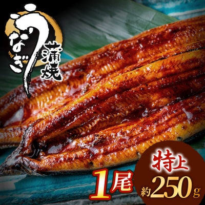 うなぎ蒲焼き1尾セット(約250g×1尾セット)【魚住商店】_HA1963
