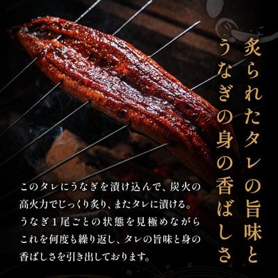 うなぎ蒲焼き1尾セット(約250g×1尾セット)【魚住商店】_HA1963