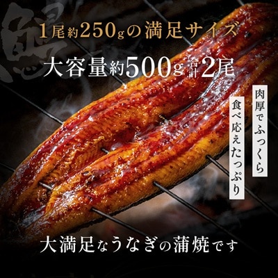 うなぎ蒲焼き2尾セット(約250g×2尾セット)【魚住商店】_HA1964