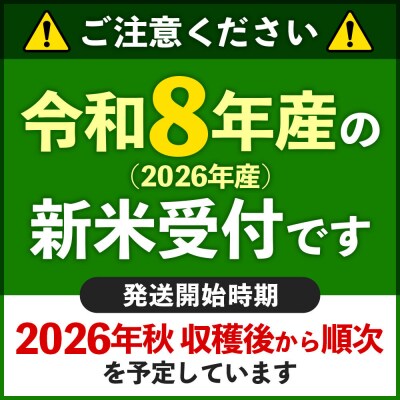 R8産 新米受付《定期便12ヶ月》秋田県産あきたこまち 20kg 玄米|szap-20812s