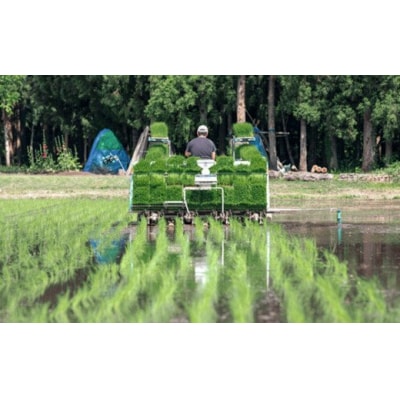 令和8年産 減農薬・減化学肥料栽培 ゆうだい21 精米 5kg F4D-2236