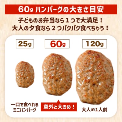 レンジで簡単 ハンバーグ 50個 60g×25個入×2袋 オサベフーズ 20563951