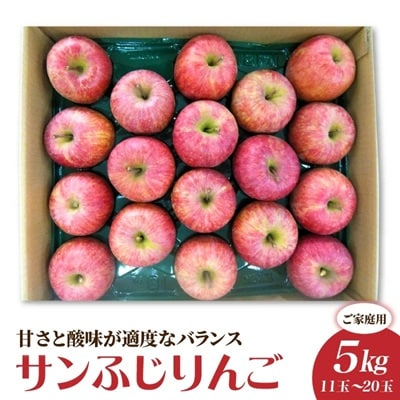 りんご(サンふじ)5kg　11～20玉　ご家庭用　0056-2620