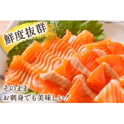 訳あり 国産 サーモン 切り落し おさしみ用 125g×16p 計2kg [20565986]