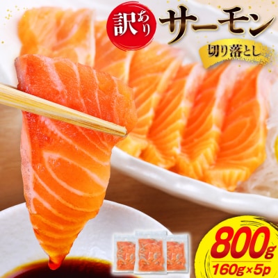 訳あり サーモン 切り落とし おさしみ用 800g 160g x5p 20565988