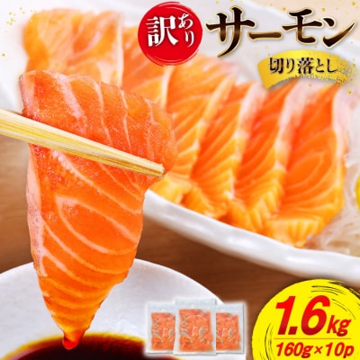 訳あり サーモン 切り落とし おさしみ用 1.6kg 160g x10p [20565989] 