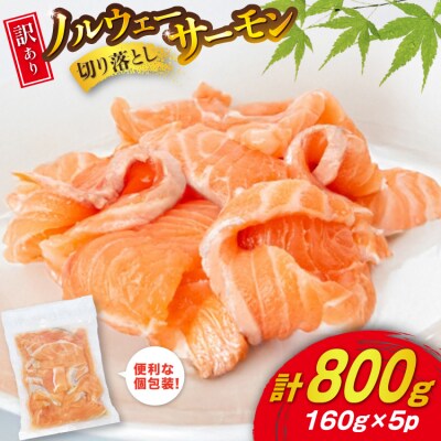 訳あり 無添加 ノルウェー産 アトランティックサーモン 切り落とし 800g [20565990] 
