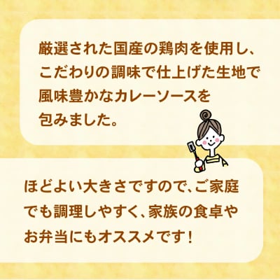 コク旨!カレー包みメンチカツ 60g×40個 合計2.4kg 揚げ物 フライ