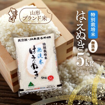 庄内町産 特別栽培米はえぬき無洗米 5kg 令和7年産 2025年産 ブランド米
