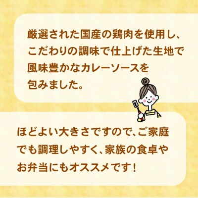コク旨!カレー包みメンチカツ 60g×100個 合計6kg 揚げ物 フライ