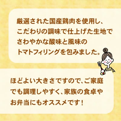 トマト包みメンチカツ 60g×40個 合計2.4kg 揚げ物 フライ