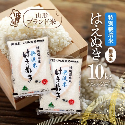 庄内町産 特別栽培米はえぬき無洗米 10kg 5kg×2袋 令和7年産 2025年産 ブランド米