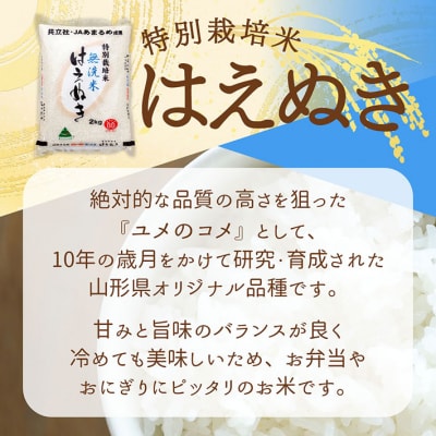 庄内町産 特別栽培米はえぬき無洗米 10kg 5kg×2袋 令和7年産 2025年産 ブランド米