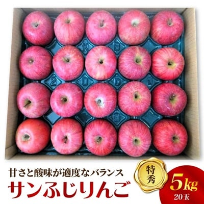 りんご(サンふじ)5kg　20玉　特秀品　0056-2622