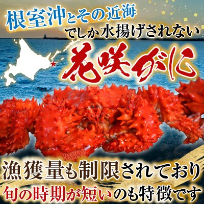 【北海道根室産】花咲ガニ400～500g×3尾 B-28121