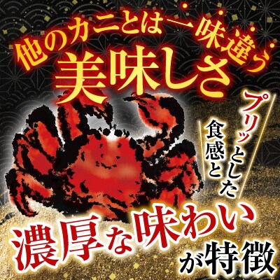 【北海道根室産】花咲ガニ400～500g×3尾 B-28121