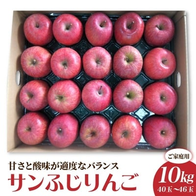 りんご(サンふじ)10kg　40～46玉　ご家庭用　0056-2624