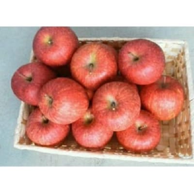 りんご(サンふじ)10kg　40～46玉　ご家庭用　0056-2624