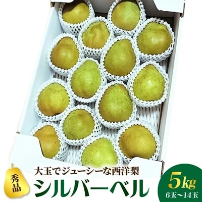 西洋梨(シルバーベル)5kg　0056-2625