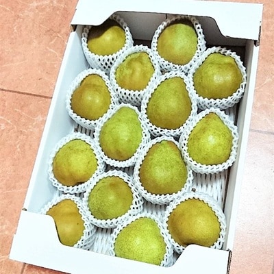 西洋梨(シルバーベル)5kg　0056-2625