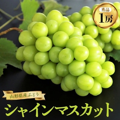 ぶどう(シャインマスカット)1房　0060-2612