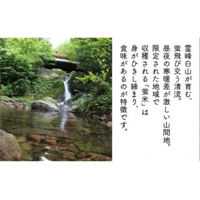 【令和7年産】 コシヒカリ 精米 蛍米 5kg 石川県 小松市 JA小松市