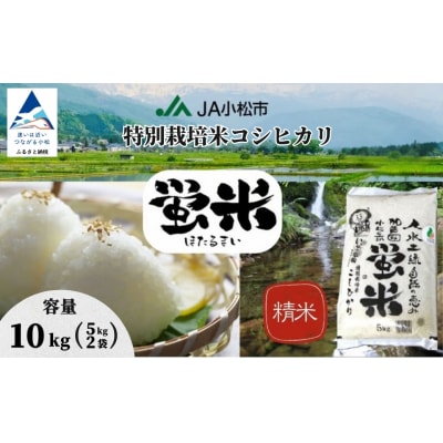 【令和7年産】 コシヒカリ 精米 蛍米 10kg ( 5kg×2袋 ) 石川県 小松市 JA小松市