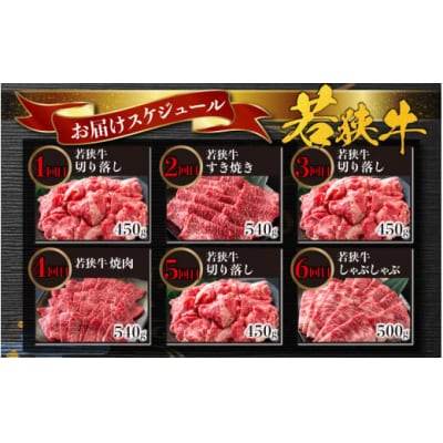 【肉の定期便×12回コース】肉好き大集合!若狭牛食べ比べ 定期便!【福井のブランド牛肉】