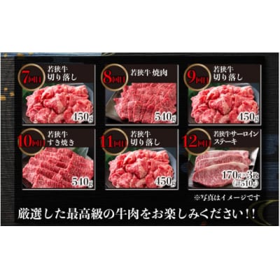 【肉の定期便×12回コース】肉好き大集合!若狭牛食べ比べ 定期便!【福井のブランド牛肉】