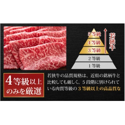 【肉の定期便×12回コース】肉好き大集合!若狭牛食べ比べ 定期便!【福井のブランド牛肉】
