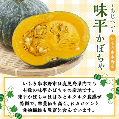 先行受付<数量・期間限定>味平かぼちゃのアイスクリーム (130g×6個)