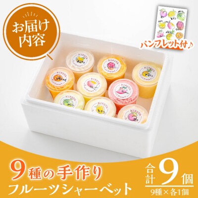 〈数量・期間限定〉9種の手作りフルーツシャーベット各1個セット