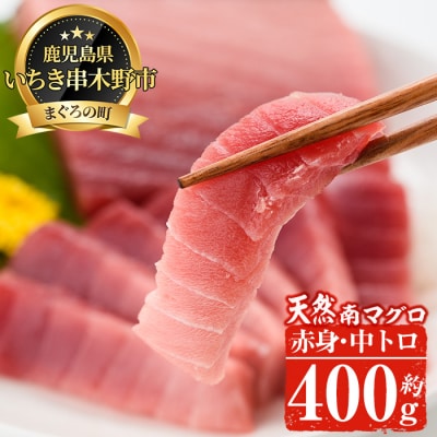 南マグロ味わいセット(南まぐろ中トロ200g・赤身200g)