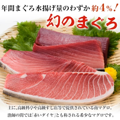 南マグロ味わいセット(南まぐろ中トロ200g・赤身200g)