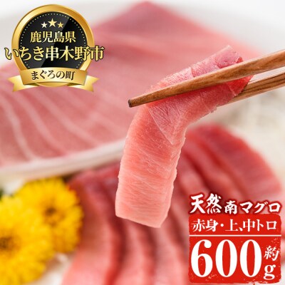 天然南マグロ堪能セット 上トロ、中トロ、赤身　計約600g