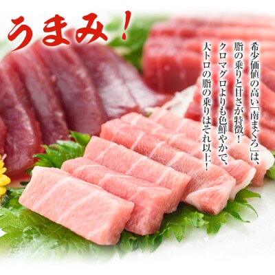 天然南マグロ堪能セット 上トロ、中トロ、赤身　計約600g
